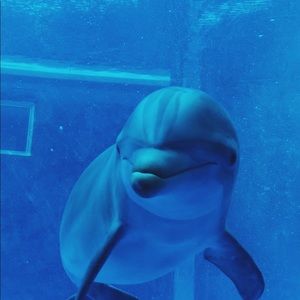 Meet your Posher, Shawna